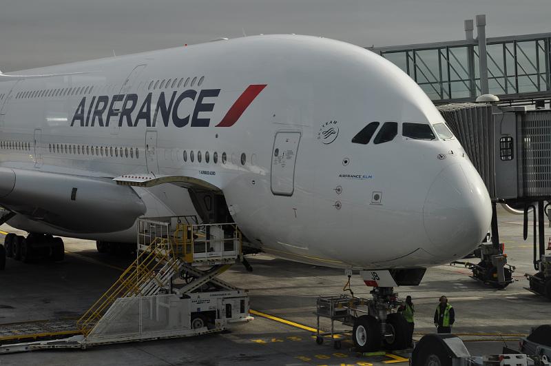 foto_20111028_1343_01.jpg - [de]Eine markante Nase.[en]A distinct nose.