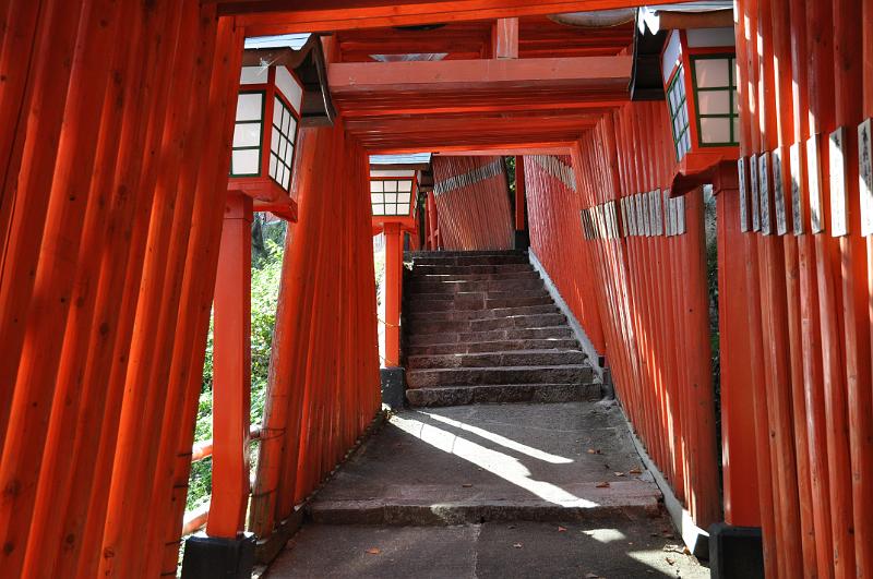 foto_20111112_1328_02.jpg - [de]Aufgang durch nahezu 1000 Torii zum Taikodani-Inari Schrein.[en]Ascent to the Taikodani-Inari shrine through about 1000 torii.