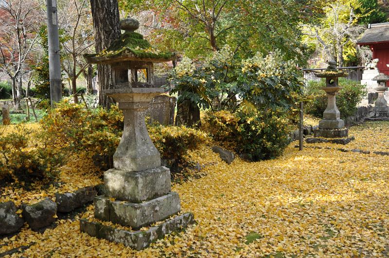 foto_20111112_1447_02.jpg - [de]Auch die Steinlaterne ist fast vollständig mit gelben Blättern umgeben.[en]The stone lantern is almost fully surrounded by the nice yellow leafs.