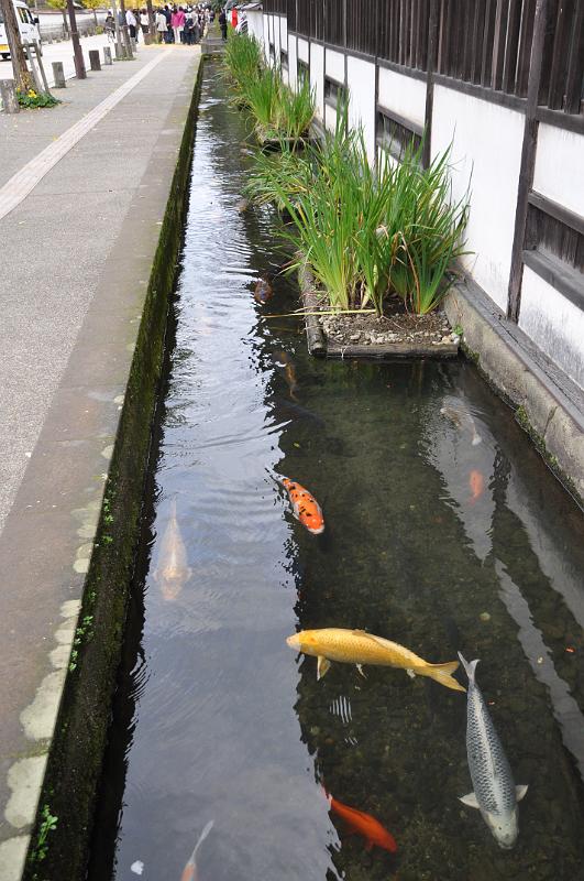 foto_20111112_1537_01.jpg - [de]Damit haben die Karpfen in den Kanälen wieder etwas mehr Ruhe.[en]Now the carps in the canals are a bit less stressed again.