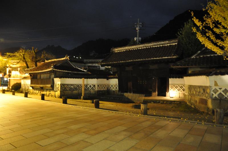 foto_20111112_2048_03.jpg - (c) C. Michel cmichel@ballonspass.de