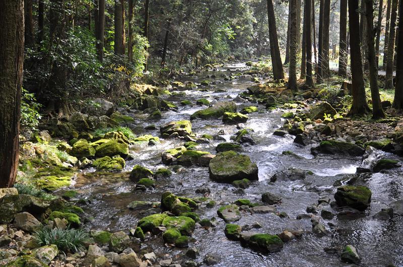 foto_20111114_1133_02.jpg - (c) C. Michel cmichel@ballonspass.de