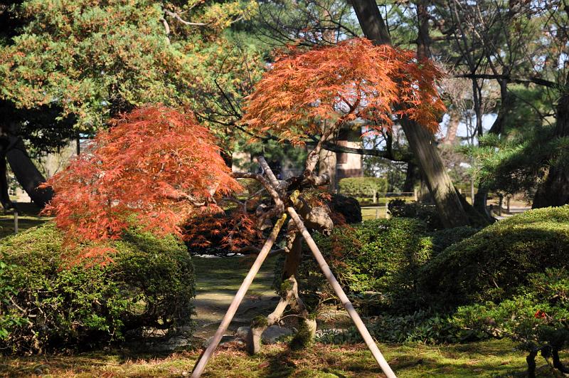 foto_20111116_1042_01.jpg - (c) C. Michel cmichel@ballonspass.de