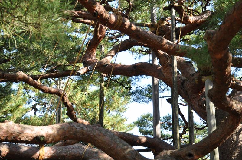 foto_20111116_1047_04.jpg - (c) C. Michel cmichel@ballonspass.de