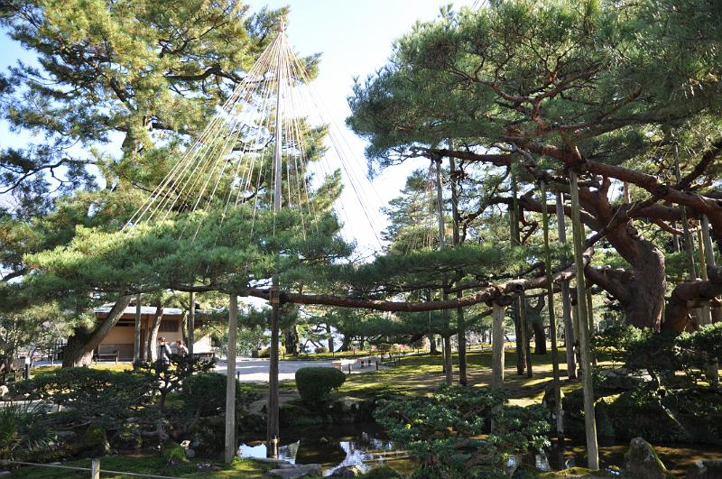 foto_20111116_1049_01.jpg - (c) C. Michel cmichel@ballonspass.de