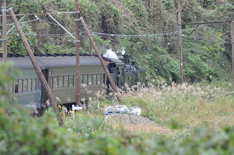foto_20111030_1015_02.jpg - [de]Dampflok im hohen Gras.[en]Steam engine in tall grass.