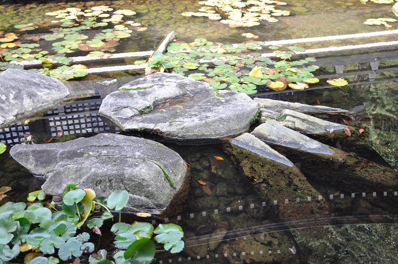 foto_20111108_1314_01.jpg - [de]Vor dem G... Onsen liegt eine steinerne Krabbe im Teich.[en]In front of G.. Onsen you can find this stone crab in the pond.