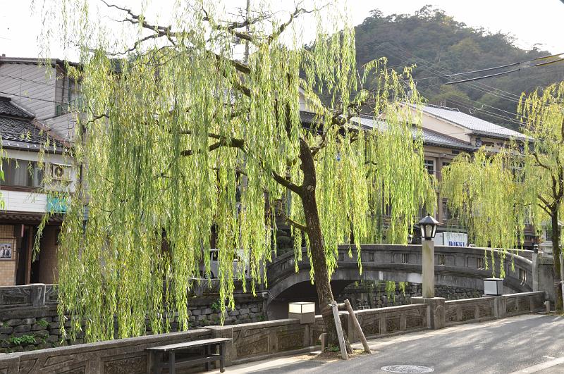 foto_20111108_1457_01.jpg - [de]Und die Weide leuchtet in der Nachmittagssonne.[en]The tree is shining brightly in the afternoon sun.