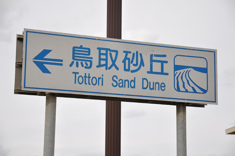 foto_20111109_1359_01.jpg - [de]Aber jetzt geht es ab in die Dünen.[en]But now I'm heading into the dunes.