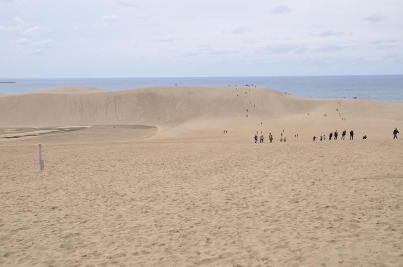 foto_20111109_1411_01.jpg - [de]Man kommt sich irgendwie nicht vor, wie in Japan.[en]Somehow it doesn't feel as if I am in Japan.