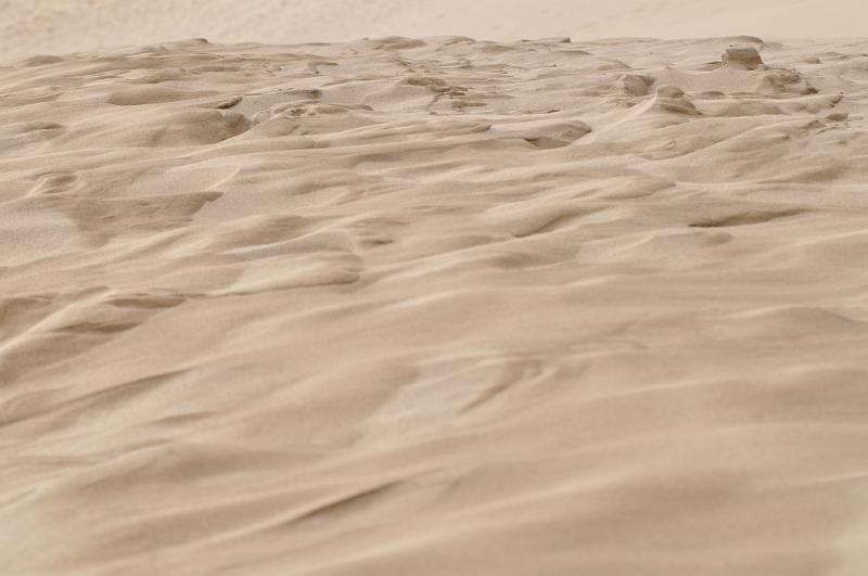 foto_20111109_1428_02.jpg - [de]Und dort, wo der Wind so richtig stark bläst, bleiben nur die harten Strukturen stehen.[en]In areas where the wind is blowing really strong, only the tougher structures remain.