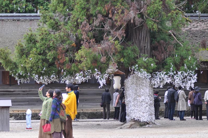 foto_20111110_1551_03.jpg - [de]Beziehungsweise Papierstreifen, diesmal in einer interessanten Anbringung.[en]Or paper stripes, with an interesting place to knot them on.