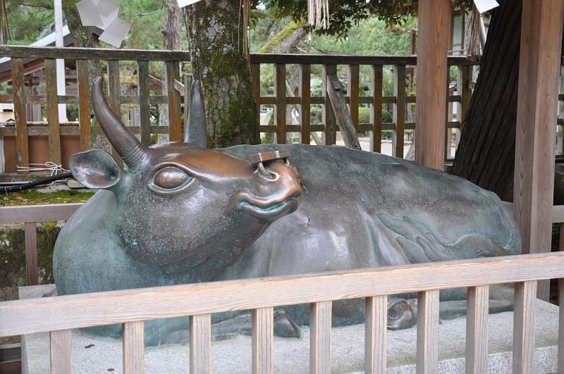 foto_20111110_1608_02.jpg - [de]Auch in Japan gibt es heilige Kühe, die ist schon sehr oft gestreichelt worden.[en]Japan also has at least one "holy cow".